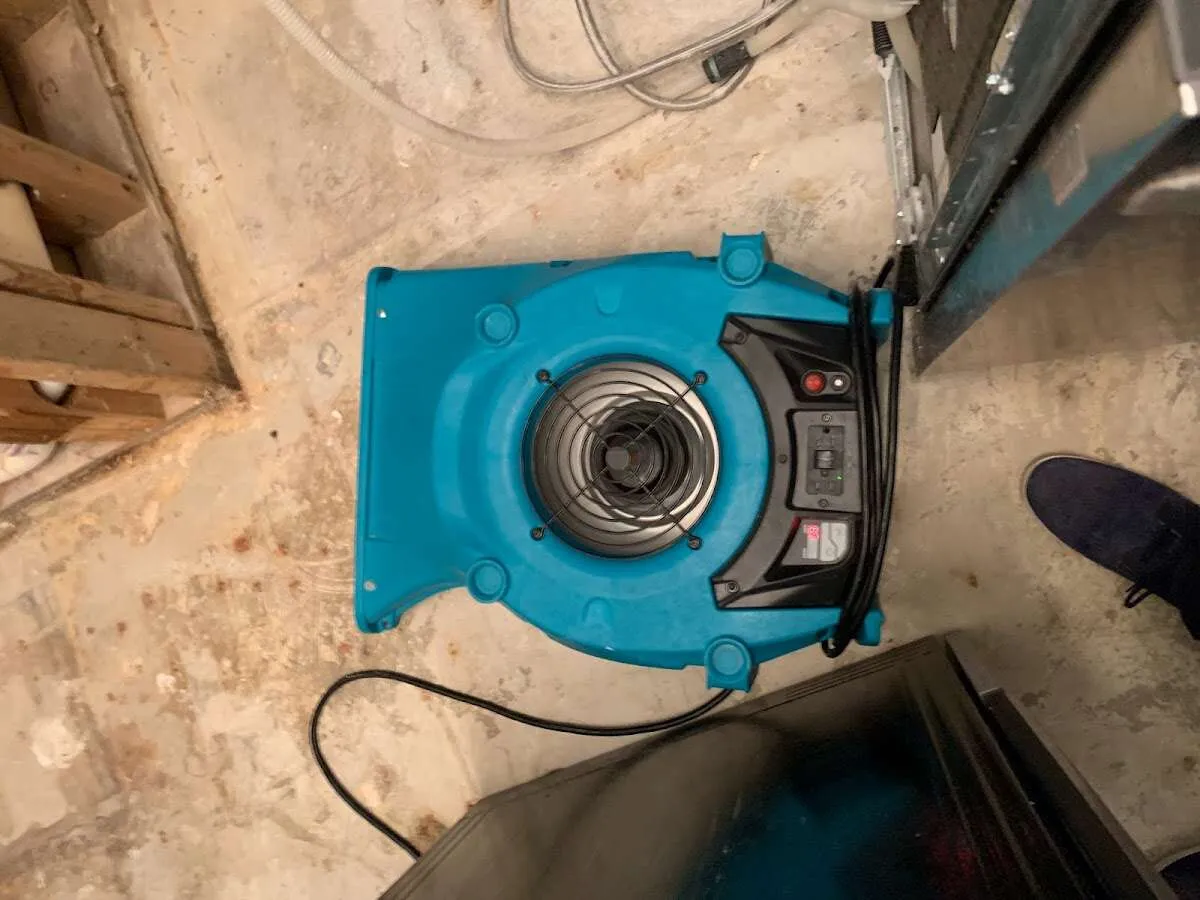 Air mover drying equipment for Mold Remediation & Removal in Tontitown